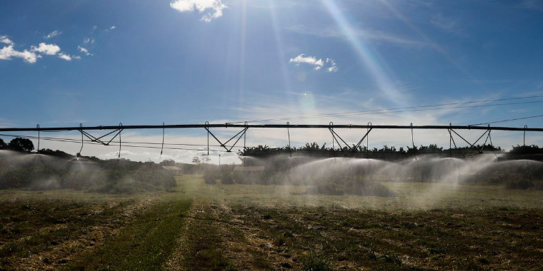 Agropecuária lidera geração de empregos com mais de 102 mil vagas