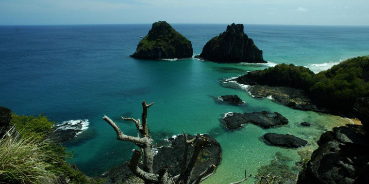 Fernando de Noronha: pesquisadores fazem expedição em águas profundas