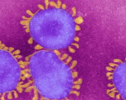 Pouco teste para muito vírus: somente 46 mil foram feitos até agora