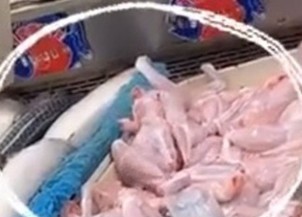 Rã volta a se mexer mesmo após abatida em refrigerador na China; vídeo