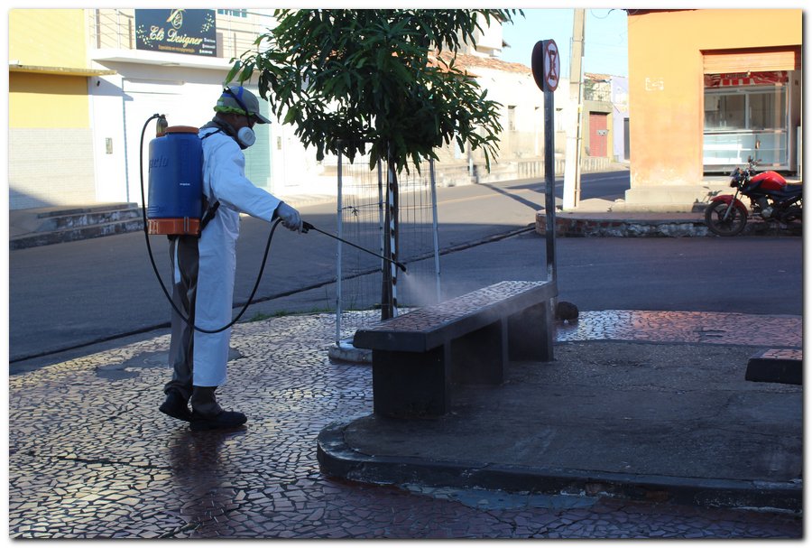 Agentes de Endemias realizam ações de higienização em Inhuma - Imagem 29