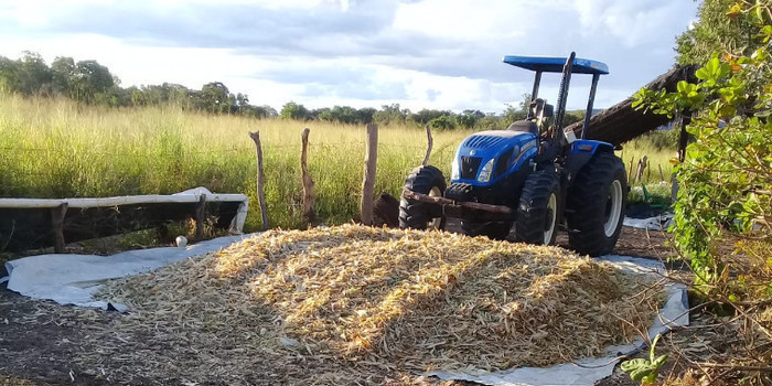 PMU irá produzir cerca de 700 toneladas de silagem para agricultura familiiar