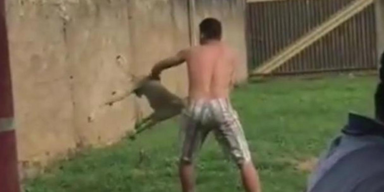 Homem é preso após jogar cão por cima de um muro de 2 metros; Vídeo
