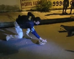 Vídeo: PRF captura jiboia que estava sob a via na BR-316, em Teresina