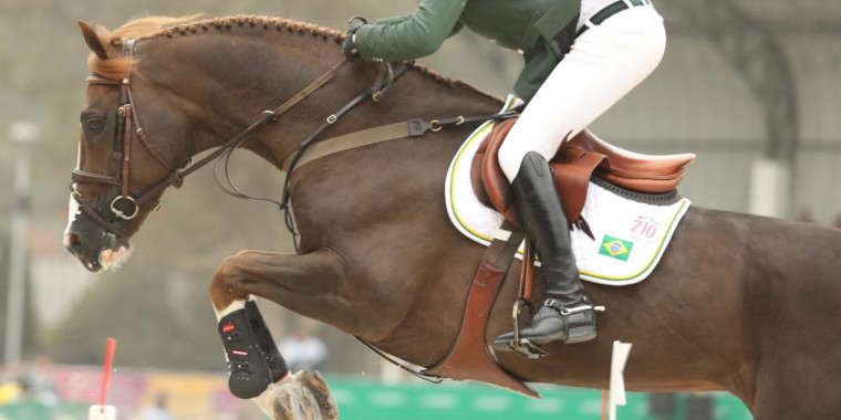 Hipismo brasileiro tem boa participação em concursos Internacionais