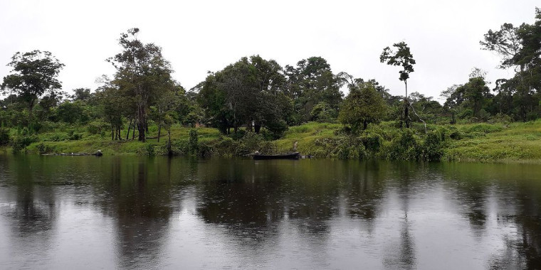 Embrapa coleta bactérias e fungos com potencial econômico na Amazônia