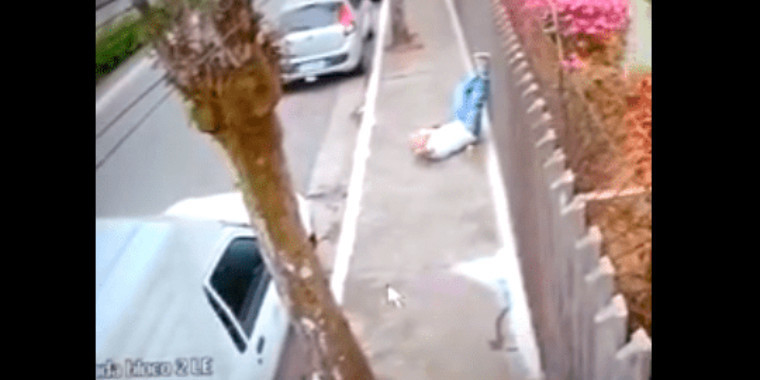 Homem é atropelado por cães em calçada de São Paulo e morre