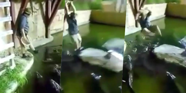 Homem cai de balanço dentro de lago com crocodilos em vídeo bizarro