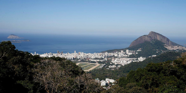 Parque Nacional da Tijuca (RJ) reabre trilha da Pedra Bonita amanhã