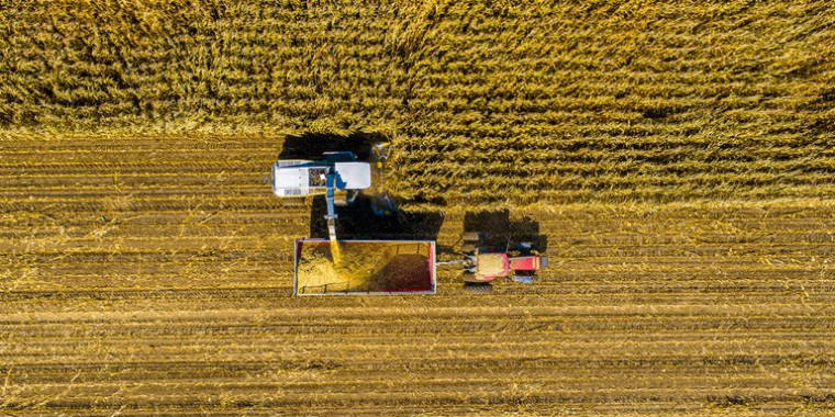 Produção de grãos deve alcançar 278 milhões de toneladas em 2021