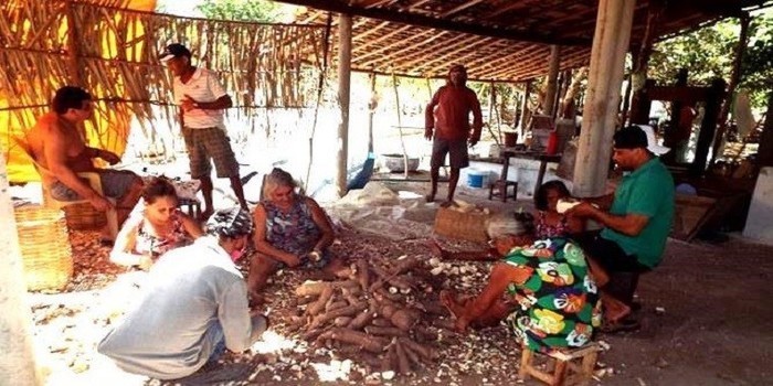 Cultura da farinhada ainda resiste ao tempo