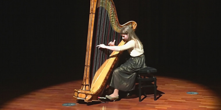 Festival de harpa reúne músicos do mundo todo em edição online inédita