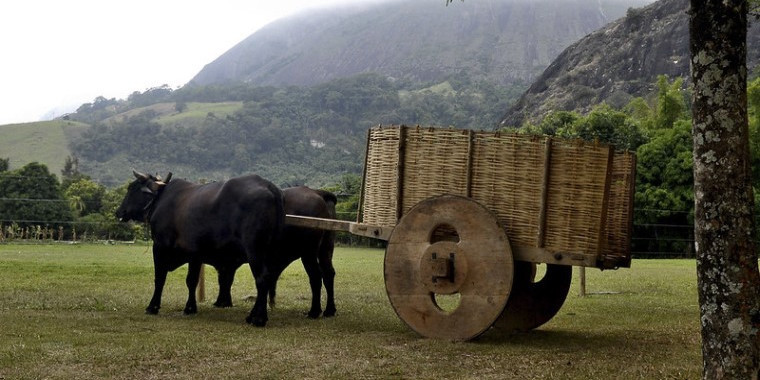 16ª edição de Feira de Turismo Rural tem início nesta terça-feira (1º)