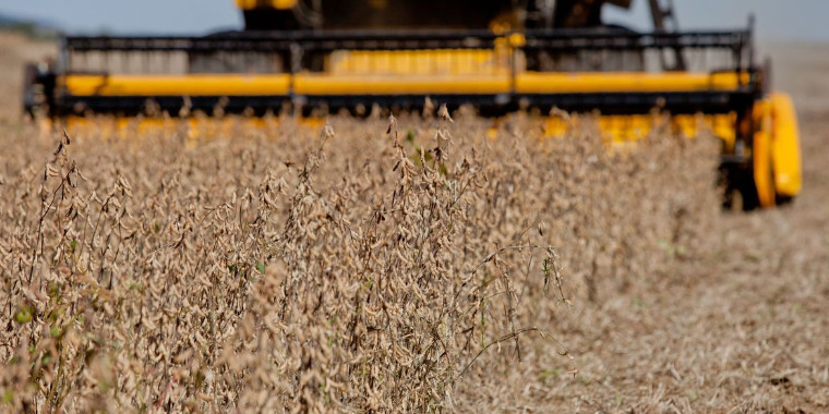 Produção agropecuária deve passar de R$ 770 bi e tem recorde histórico