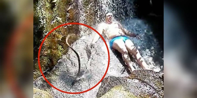 Vídeo mostra cobra caindo ao lado de homem em cachoeira e gera pânico