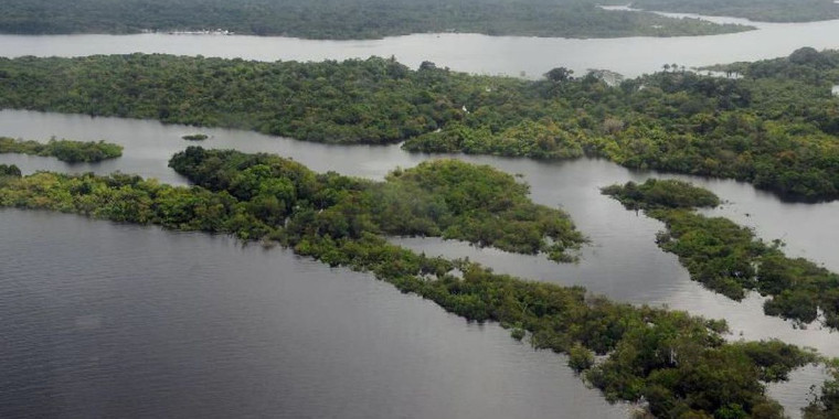 Dia da Amazônia: mulheres agricultoras falam sobre preservação