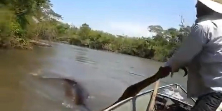 Pescador tenta segurar sucuri gigante pela calda em vídeo chocante