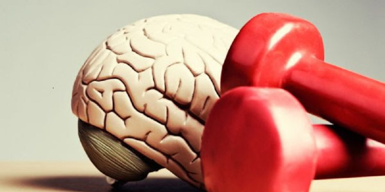 Conheça os benefícios do exercício físico para o cérebro