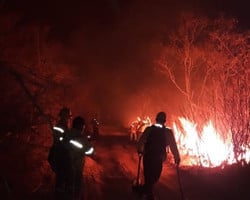 Piauí tem mês com maior número de queimadas da última década