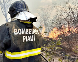 Comissão do Meio Ambiente debate o aumento das queimadas no Piauí