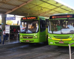 PRO Piauí distribui cestas básicas a motoristas e cobradores de ônibus