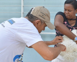 Neste sábado (30) tem vacinação para cães e gatos das zonas Norte e Leste