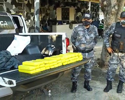 Polícia estoura boca de fumo e apreende quase 50 kg de maconha em Teresina