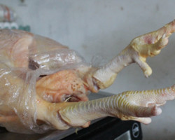 Pé de frango é encontrado por até R$12,90 em Teresina
