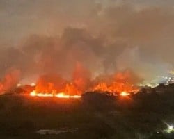 Incêndio no Parque do Cocó deixa bairros de Fortaleza cobertos de fumaça