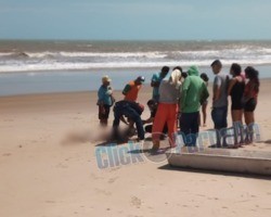 Corpo de homem é encontrado na praia da Pedra do Sal, no litoral do Piauí