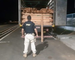 PRF apreende 20,62 m³ de madeira ilegal na BR 316, em Valença do Piauí