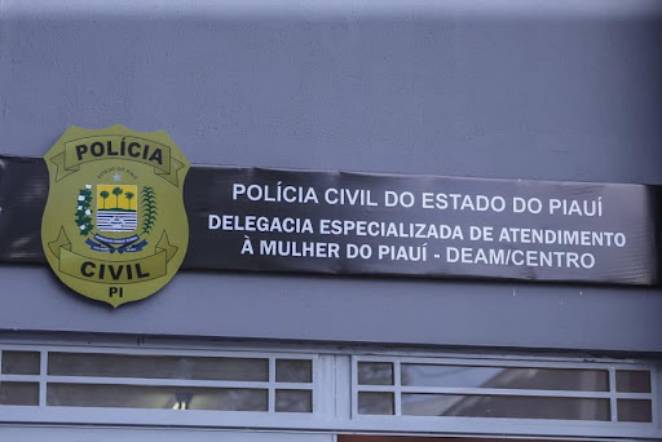 Violência: Piauí registrou 25 casos de feminicídios até o mês de novembro (Foto: SSP-PI)