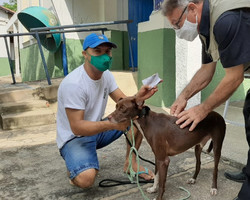 FMS atingiu 99,72% da vacinação antirrábica em cães e gatos em Teresina