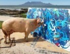 Pigcasso: pintura feita por porco é vendida por mais de R$ 128 mil 