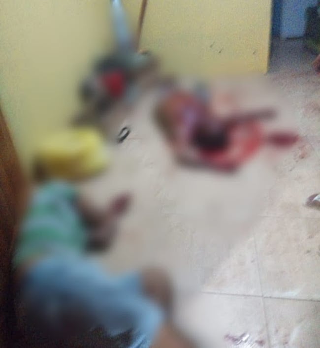 Irmãos têm casa invadida e são executados a tiros em Buriti dos Lopes - Imagem 1