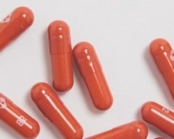 Agência dos EUA aprova o uso emergencial da pílula contra Covid-19