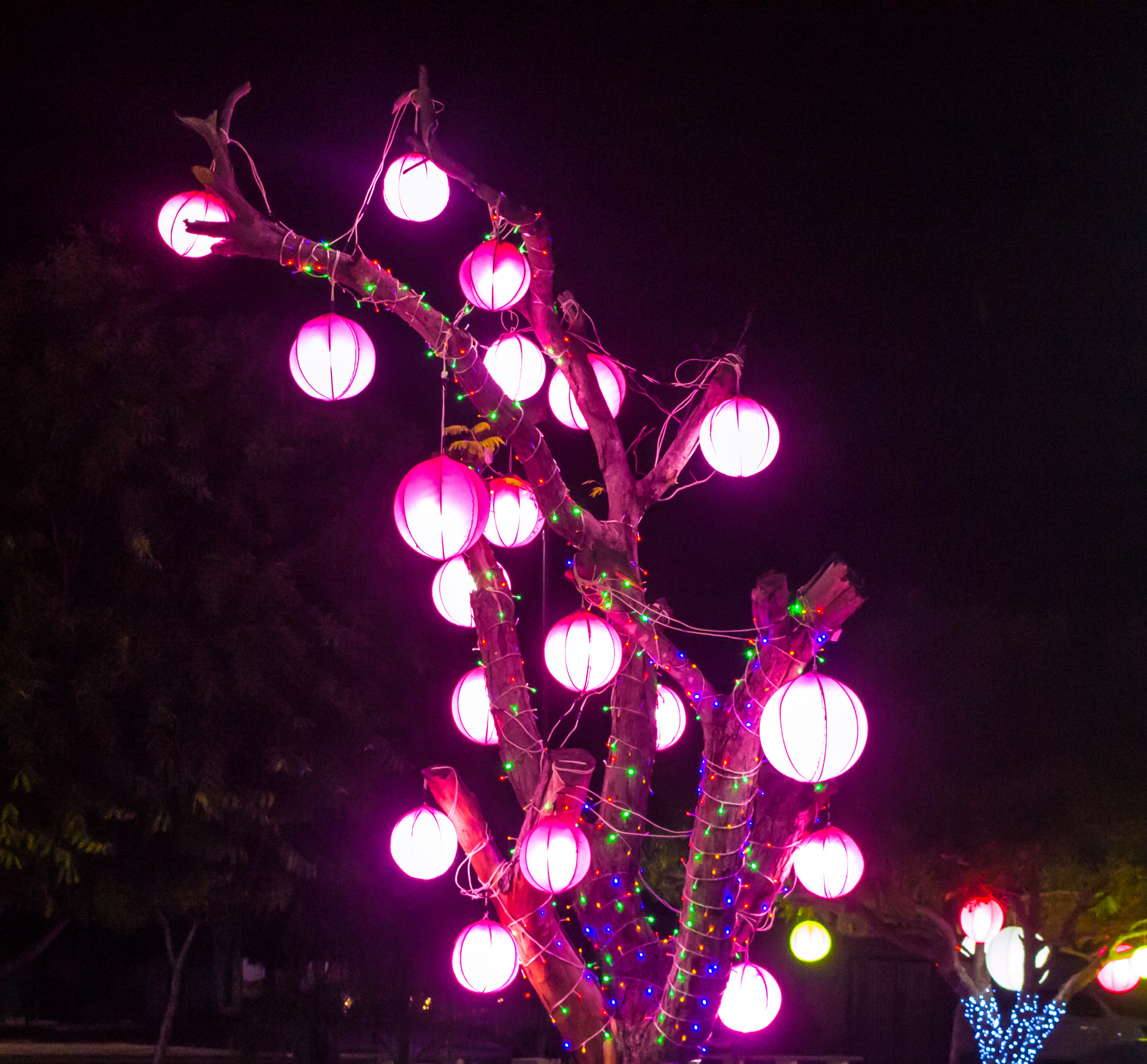 Praça 28 de Dezembro de Joaquim Pires recebe decoração natalina - Imagem 10