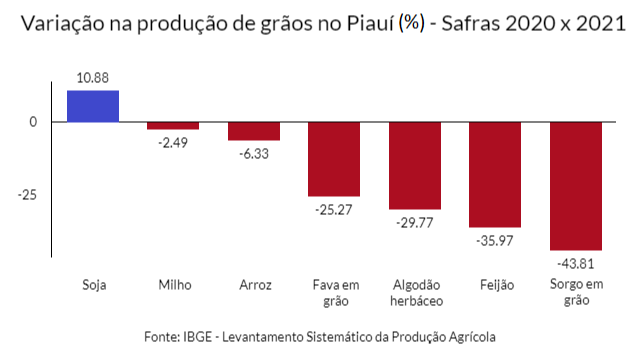 Apesar de problemas climáticos, produção agrícola do Piauí será recorde - Imagem 2