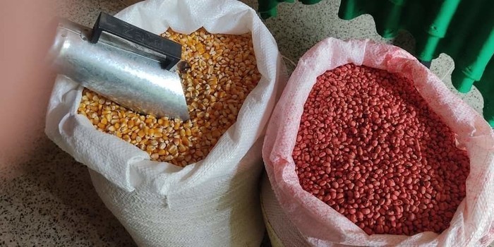 Prefeito João Luiz e deputada estadual Elisangela Moura entregam sementes para agricultures