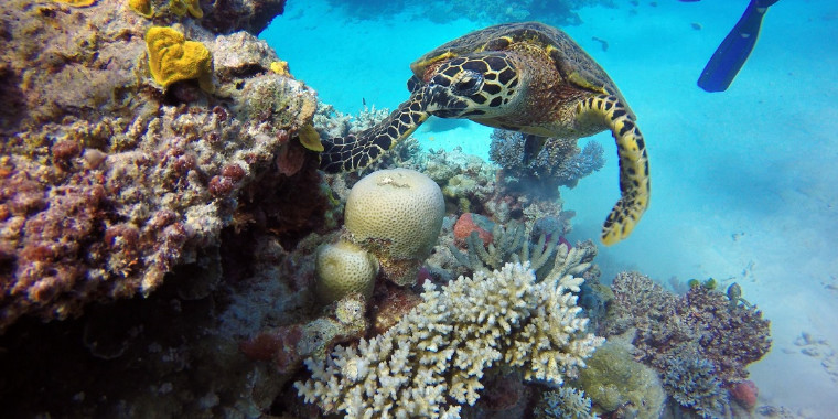 Mudança climática ameaça Patrimônio Mundial Natural