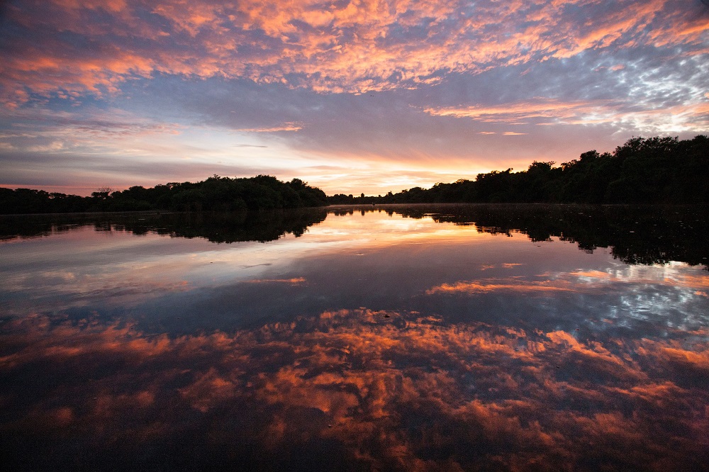 Belezas do Pantanal (Foto: Araquém Alcântara)