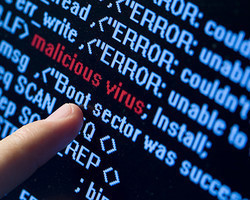 Programas maliciosos roubam dados financeiros