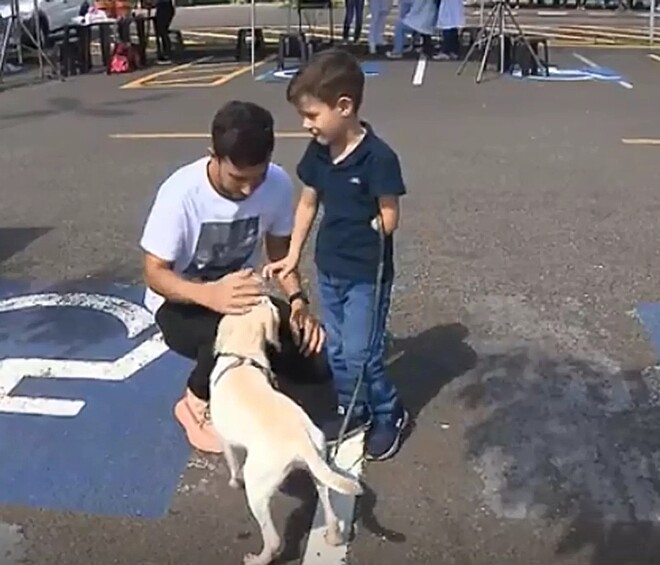 Garoto sem uma parte do braço adotou cão com mesmo ...