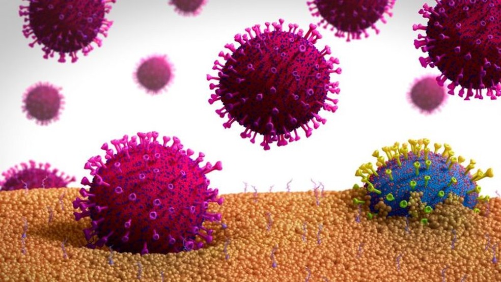 Covid-19 cresce entre jovens no Brasil (Foto: Science Photo Library)