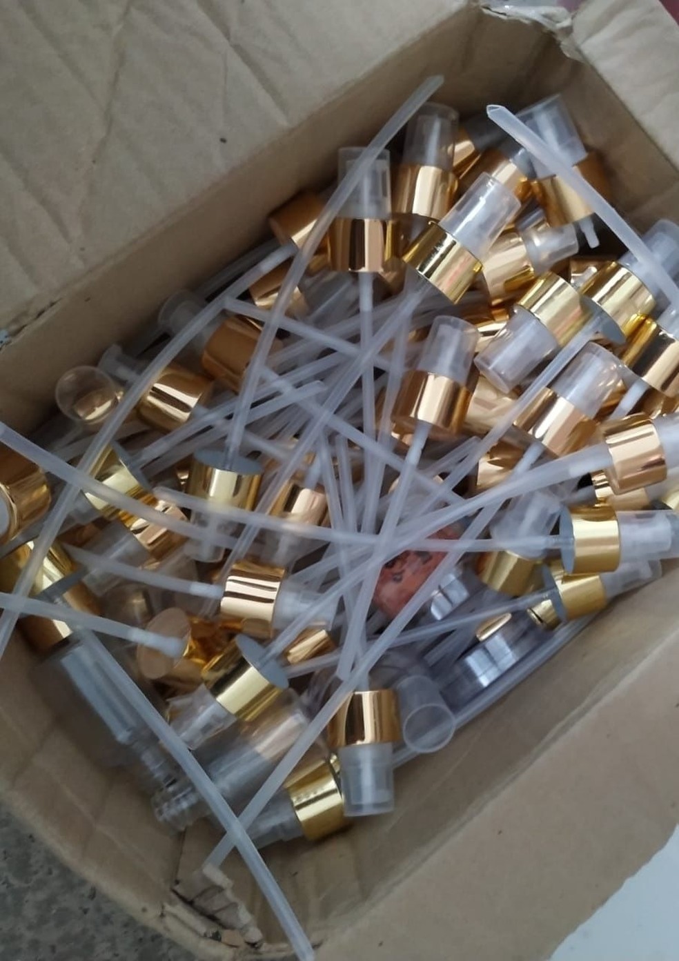 Material apreendido na residência da blogueira  Rafaela Braga