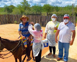 Idoso toma vacina em cima de cavalo no município de Dom Inocêncio