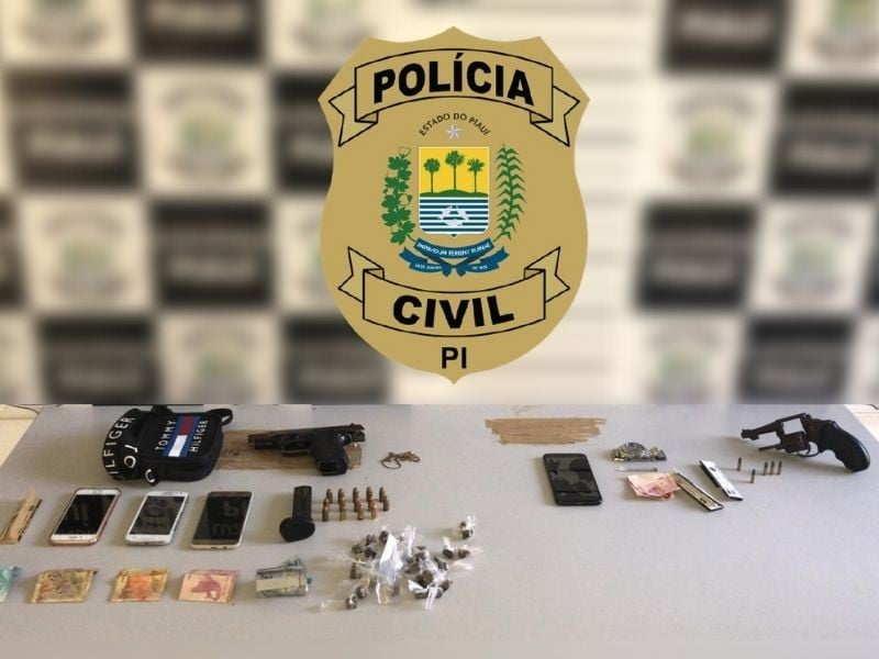 Material apreendido durante a ação da Polícia Civil em Luzilândia (Foto: Divulgação)