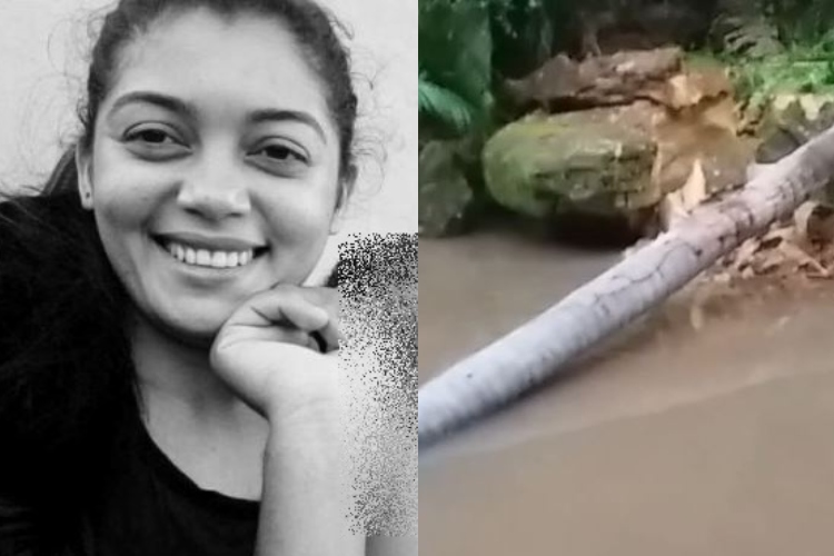 Jovem morreu ainda no local após ter sido atingida pela palmeira (Foto: Reprodução/ Revista Opinião)