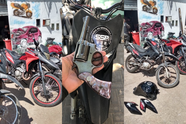 Polícia realiza duas prisões e apreende 7 motos adulteradas em Teresina (Foto: Divulgação)