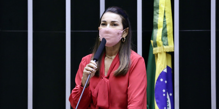 Margarete Coelho vai relatar nova Lei de Segurança Nacional